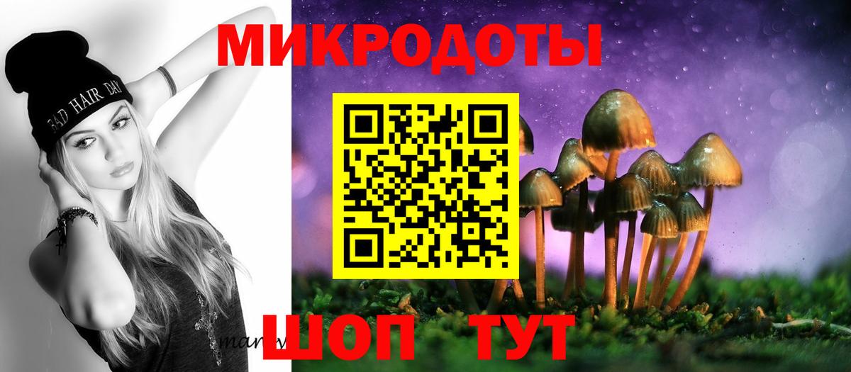 Псилоцибиновые грибы Psilocybe Большой Камень