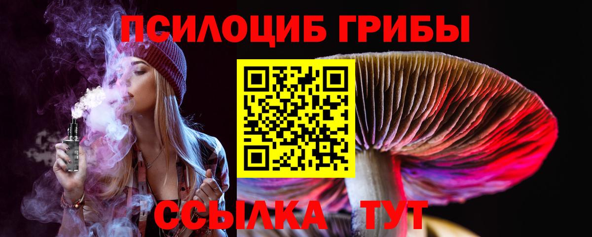 Большой Камень  Псилоцибиновые грибы Cubensis  Вход с VPN 